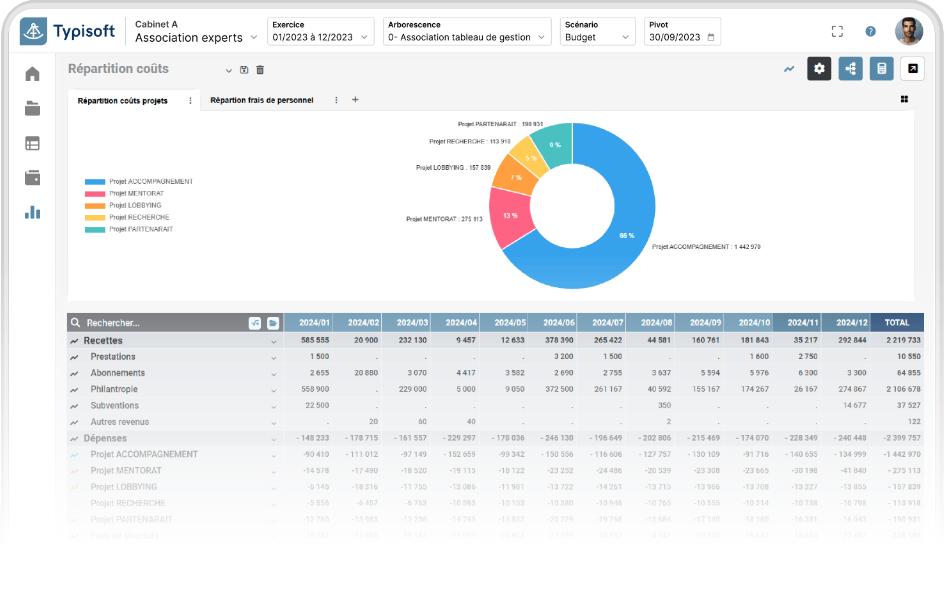 Ecran application Budget Tpisoft